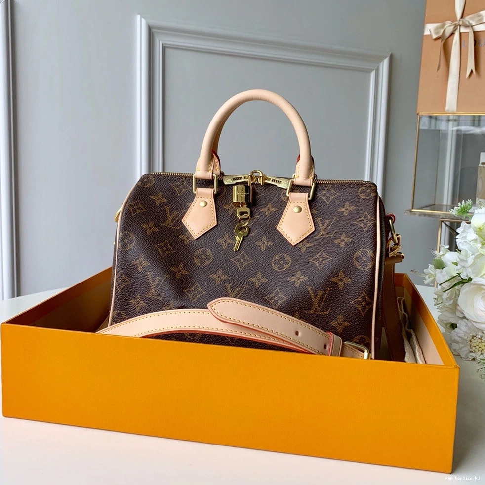 Aaa replica bags Louis SPEEDY Vuitton 25 BANDOULIERE 0821
